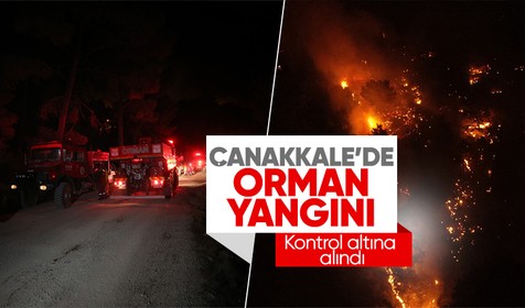 Çanakkale'de meydana gelen yangına saatlerdir müdahale devam ediyor! Müdahaleye TOMA'lar da dahil edildi