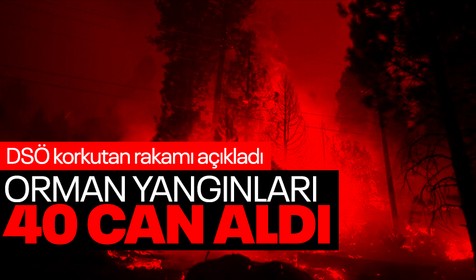 DSÖ'den güncel sağlık konularına ilişkin değerlendirmeler: Orman yangınları 40 can aldı