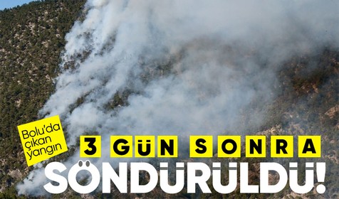 Bolu'da yıldırım düşmesi sonucu çıkan yangın 3 günün sonunda kontrol altına alındı