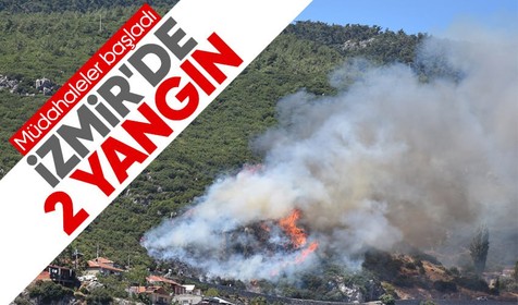 Kemalpaşa ve Güzelbahçe'de orman yangını! Türkiye'nin gözü yine İzmir'de