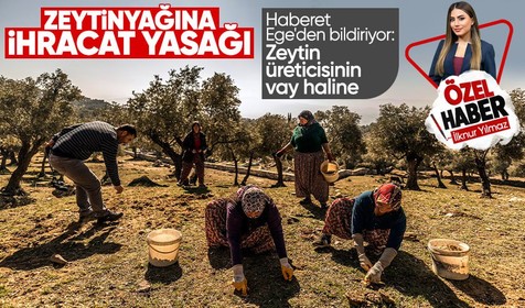 Zeytinyağı ihracatçısı Haberet'e konuştu: İşçi çıkarmak zorunda kalacağım