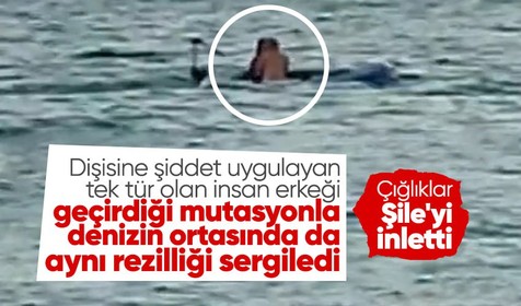Şile'de denizin ortasında bir botta şiddet gören kadının yardım çığlıkları kıyıya kadar ulaştı