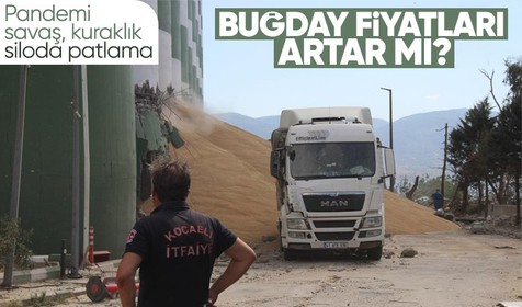 Dünyanın yeni sorunu tahıl krizi! Koronavirüs, Rusya-Ukrayna savaşı, kuraklık ve buğday silosunda patlama! Buğday fiyatları artar mı?