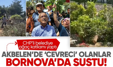 Akbelen'de 'çevreci' olanlar Bornova'da sustu! CHP'li belediye ağaç katliamı yaptı