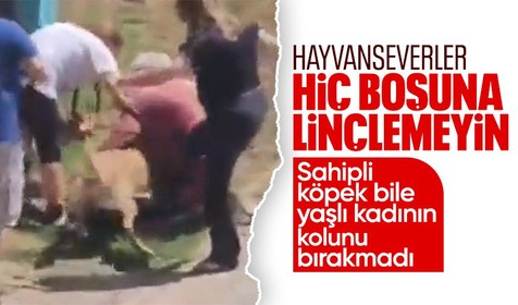 Moda Sahili'nde köpek vahşeti! Yaşı kadını dakikalarca ısırdı