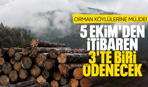 Bakan Yumaklı'dan orman köylülerine müjde! Sadece 3'te biri ödenecek