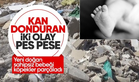 Gaziantep’te tüyler ürperten vahşet! Bebeğin cesedi köpekler tarafından parçalanmış halde bulundu