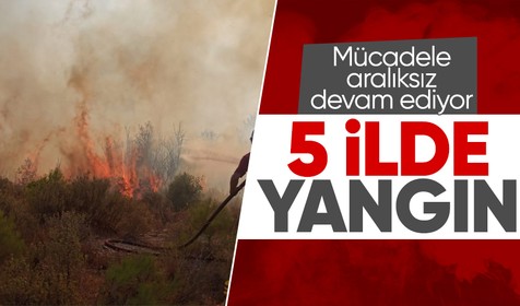Bolu, Antalya, Denizli, Ankara ve Eskişehir’de orman yangını
