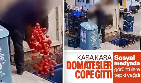 İstanbul'da zincir market çalışanları kasa kasa domatesleri çöpe attı