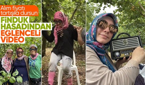 Fındık toplama videosu sosyal medyada viral oldu! Horon teptiler