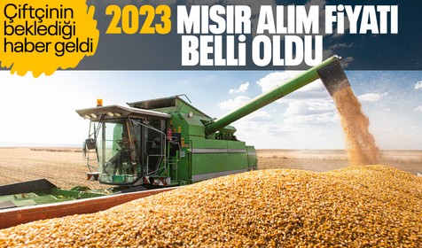 Son Dakika: TMO ton başına rakamı duyurdu: 2023 mısır alım fiyatı belli oldu