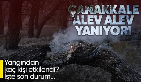 Çanakkale alev alev yanıyor! Müdahale sabah saatlerinde de devam ediyor