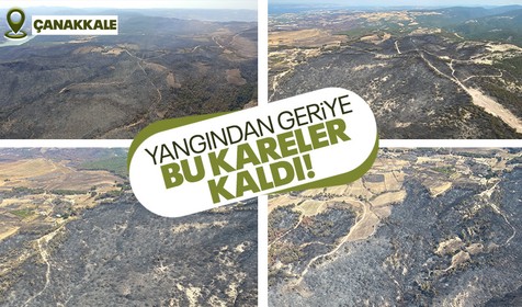 Çanakkale'de çıkan yangın söndürüldü! Geriye bu görüntüler kaldı... İşte Çanakkale'de son durum