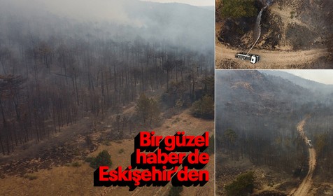Eskişehir'de alevler kontrol altına alındı! Orman yangını aktif halde değil