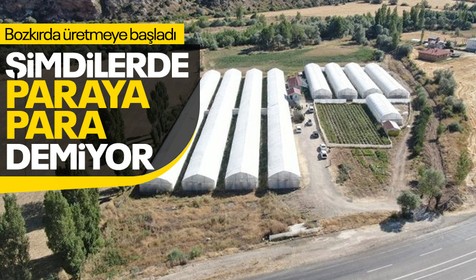 Şimdilerde paraya para demiyor! Antalya'da gördü bozkırda üretti