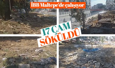 İBB Maltepe'de 17 çam ağacını söktü!