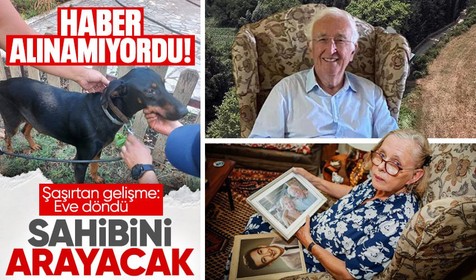 Balıkesir'de 74 gün önce kaybolan Korhan Berzeg'in köpeği Tina geri döndü! Berzeg'i köpeği Tina arayacak