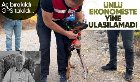 Korhan Berzeg'i arama çalışmaları devam ediyor! Tina her seferinde eve geri döndü... Katkısı olmadığı gerekçesiyle İstanbul'a gönderildi