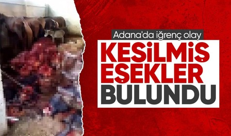 Adana'da eşek kesimi! 2 şüpheli yakalandı