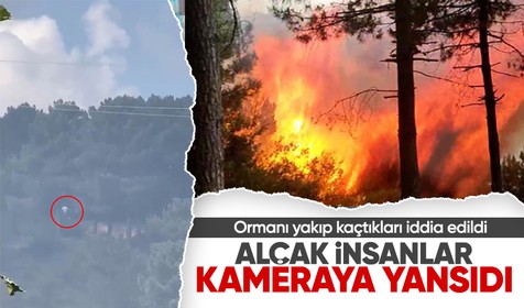 Sultangazi'deki orman yangınını başkalarının çıkartıp kaçtığı iddia edildi