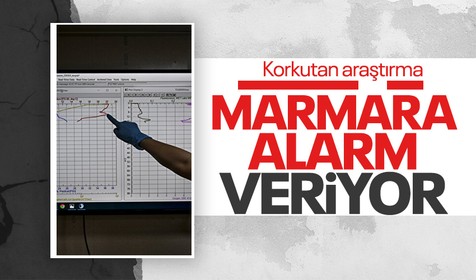 Marmara Denizi alarm veriyor! Yapılan araştırma korkuttu