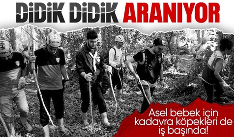 Aksaray'da selde kaybolan Asel bebek için çalışmalar sürüyor! Arama çalışmalarına kadavra köpekleri de katıldı
