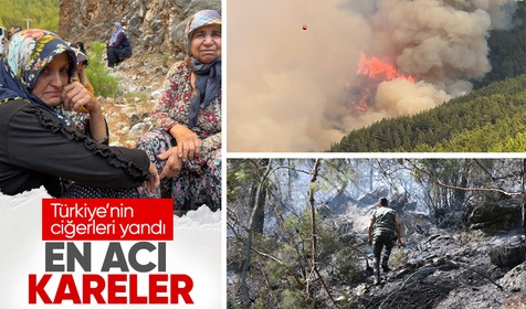 Antalya'da çıkan orman yangınında 190 hektarlık alan zarar gördü