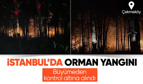 İstanbul'un Çekmeköy ilçesinde ormanlık alanda yangın