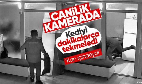 Antalya'da kuaförde çıraklık yapan cani, kediyi dakikalarca tekmeledi! O anlar kamerada