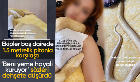Antalya'da boş daireye giren ekipler 1.5 metre uzunluğundaki pitonla karşılaştı! Genç kız yardım istedi