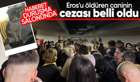 Başakşehir'de vahşice öldürülen Eros'un katili serbest kaldı