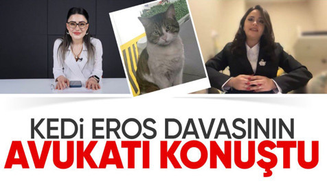 Haberet Özel | Kedi Eros davasını davanın avukatına sorduk