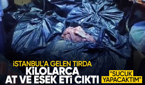 İstanbul'a gelen tırda 700 kilo eşek ve at eti çıktı! Şüpheliden itiraf: Sucuk yapacaktım