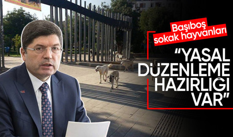 Adalet Bakanı Yılmaz Tunç: Sokak hayvanları ile ilgili yasal düzenlememiz var