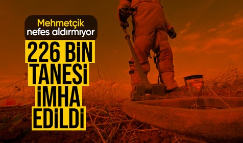 MSB MAFAM, 2015'ten bu yana 226 bin mayın imha etti