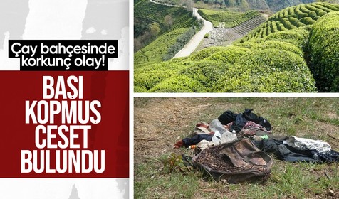 Çay bahçesinde korkunç olay: Başı kopmuş ceset bulundu