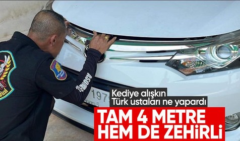 Otomobilin kaputundan çıkan 'kral kobra' hayrete düşürdü! Dünyanın en zehirlisi, tam 4 metre uzunluğunda