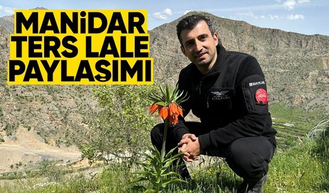 Selçuk Bayraktar'dan manidar 'ters lale' paylaşımı