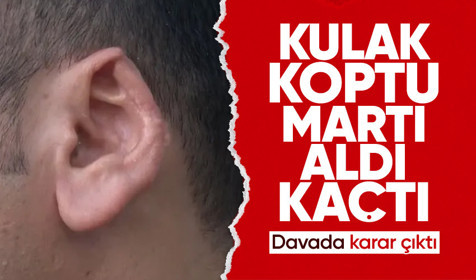 Kopan kulağı martı kaptı! Mahkeme 3 yıl 4 ay hapse çarptırdı