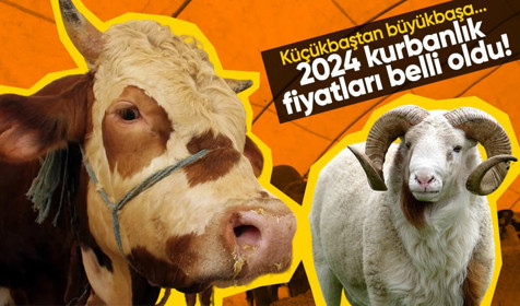2024 kurbanlık fiyatları belli oldu! hisse bedellerinde ilk rakamlar