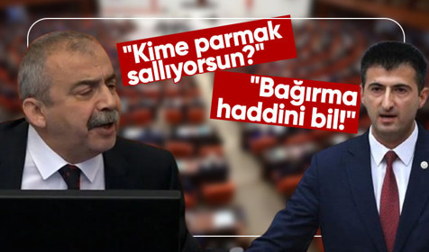 Meclis'te yüksek tansiyon! Süreyya Önder'den Mehmet Ali Çelebi'ye: Kime parmak sallıyorsun?