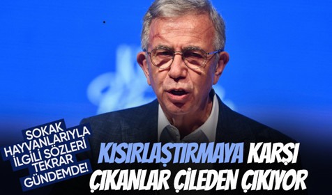Mansur Yavaş'ın sokak hayvanlarıyla ilgili sözleri tekrar gündem oldu: Sadece kısırlaştırmayla önünü alamazsınız