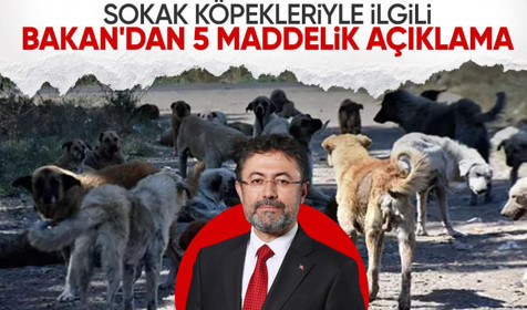 Bakan Yumaklı'dan başıboş sokak köpekleriyle ilgili açıklama: 5 maddede sıraladı