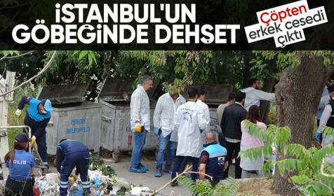 Pendik’te dehşete düşüren olay! 16 parçaya bölünmüş erkek cesedi bulundu