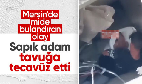 Mersin'de mide bulandıran olay! Bir sapık tavuğa tecavüz etti
