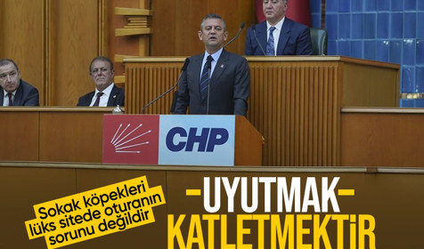 Özgür Özel'den sokak hayvanları teklifine eleştiri: Uyutmak katletmektir
