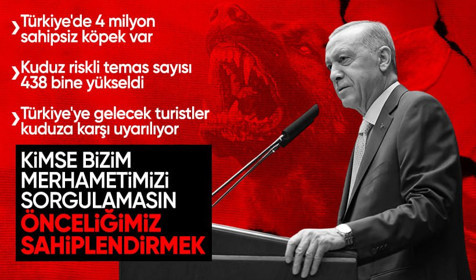 Son Dakika! Cumhurbaşkanı Erdoğan: Başıboş köpek sorununu kökten çözeceğiz