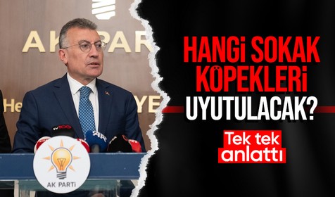 AK Parti Grup Başkanı Güler'den sokak köpeklerine ilişkin açıklama