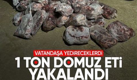 Aydın'da 1 ton domuz eti ele geçirildi