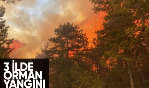 Antalya, Muğla ve Bursa'da orman yangını